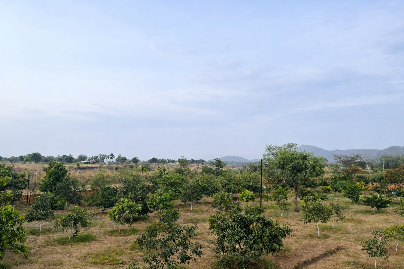 Agrotourism