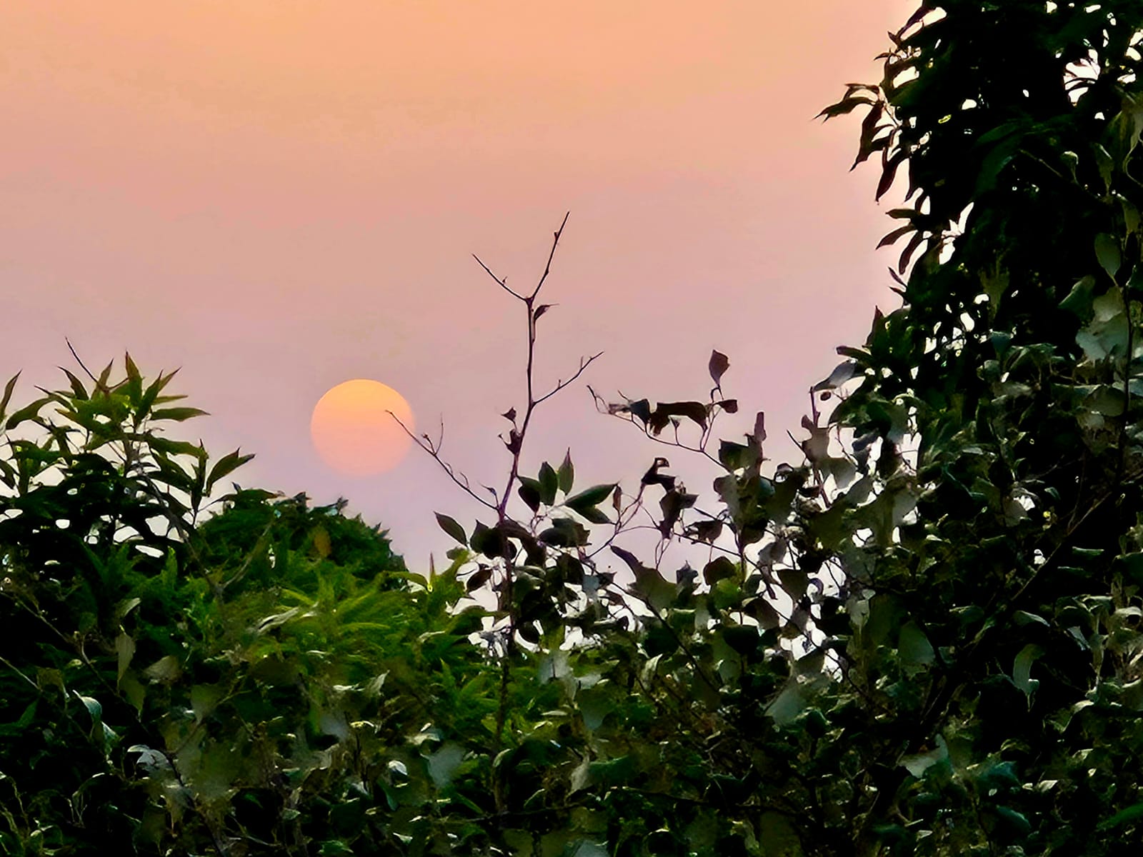 Pushkar Exotica gallery photo 6